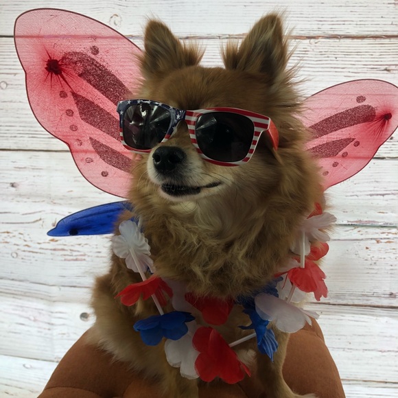 Meet your Posher, Side Hustle Chica - Picture 3 of 4